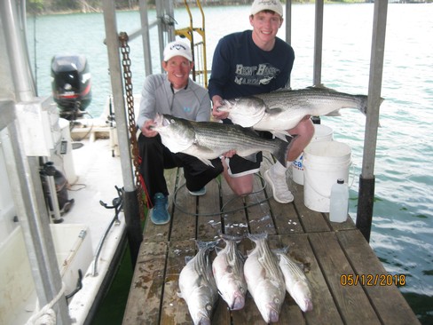 Nice Striped Bass